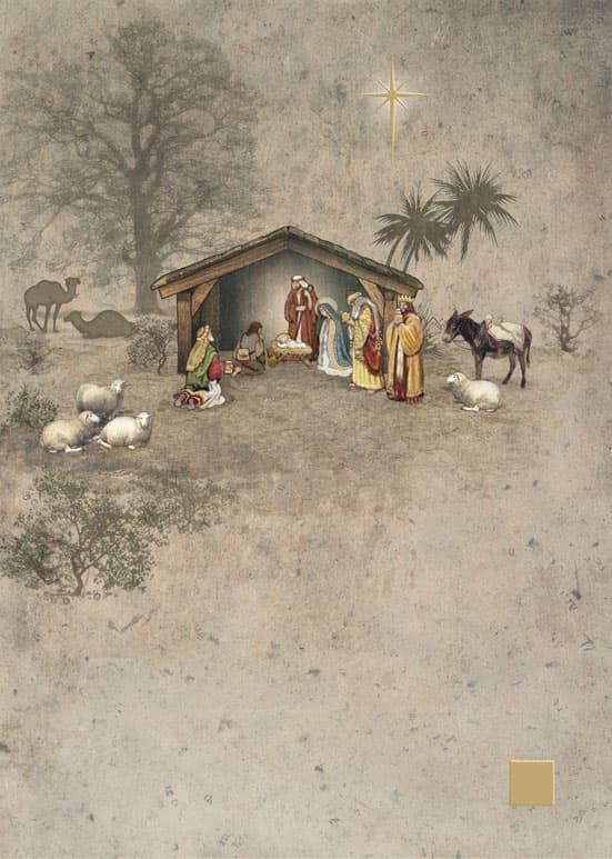 Product Image Unavailable